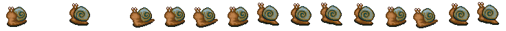 Shell Snail