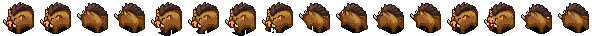 Wild Boar